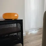 Vinci Apartment